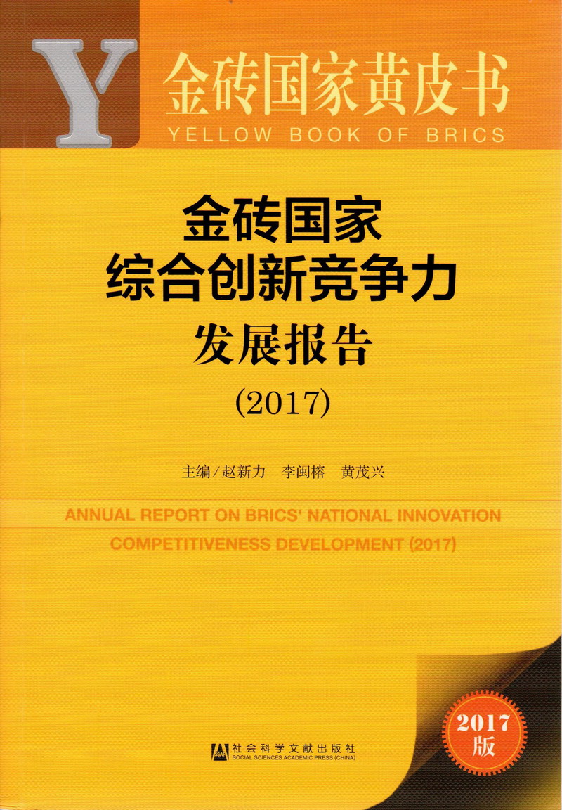 男生把坤坤叉进去金砖国家综合创新竞争力发展报告（2017）